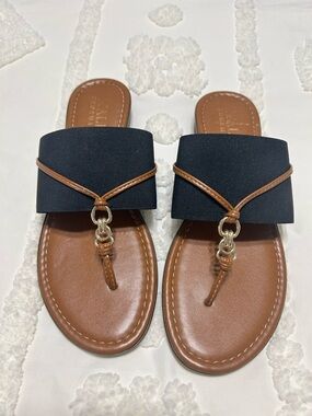 Italian Shoemakers Black & Brown Slide Sandals with Gold Rings